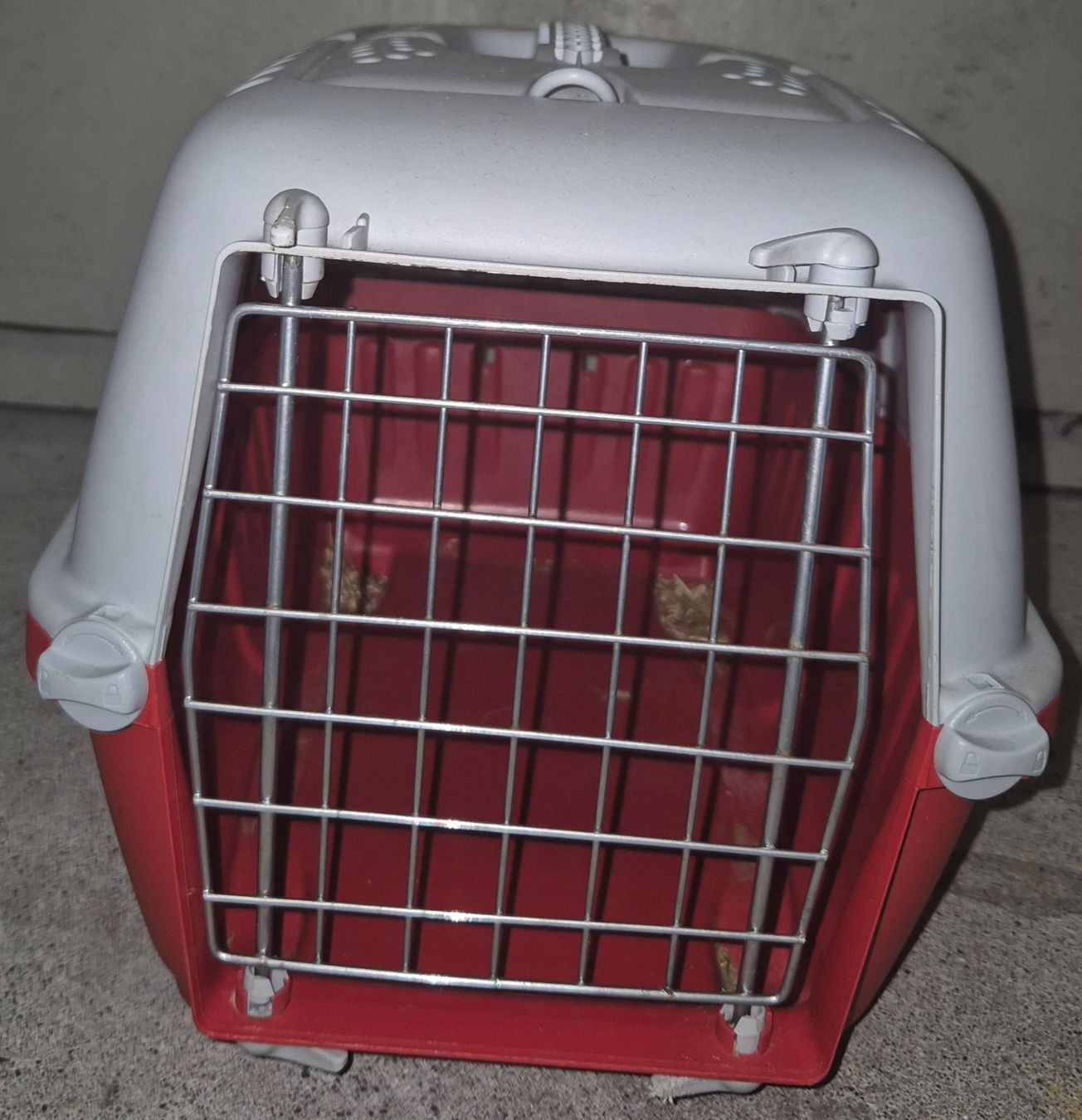 Käfige, Transport & Sicherheit: Transport Tiere Box – Gebraucht aus Zürich von yam_5dw6 2