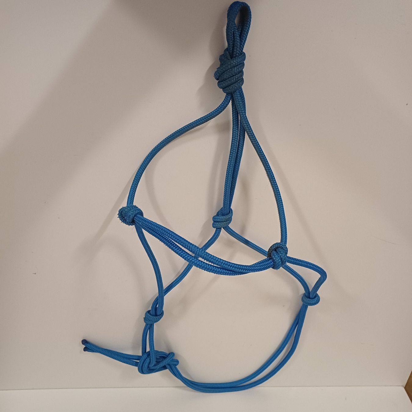 Briglie & Cavezze: Licol corde bleu ethologie shetland – Usato da Villeneuve VD venduto da vog_yc5s 1