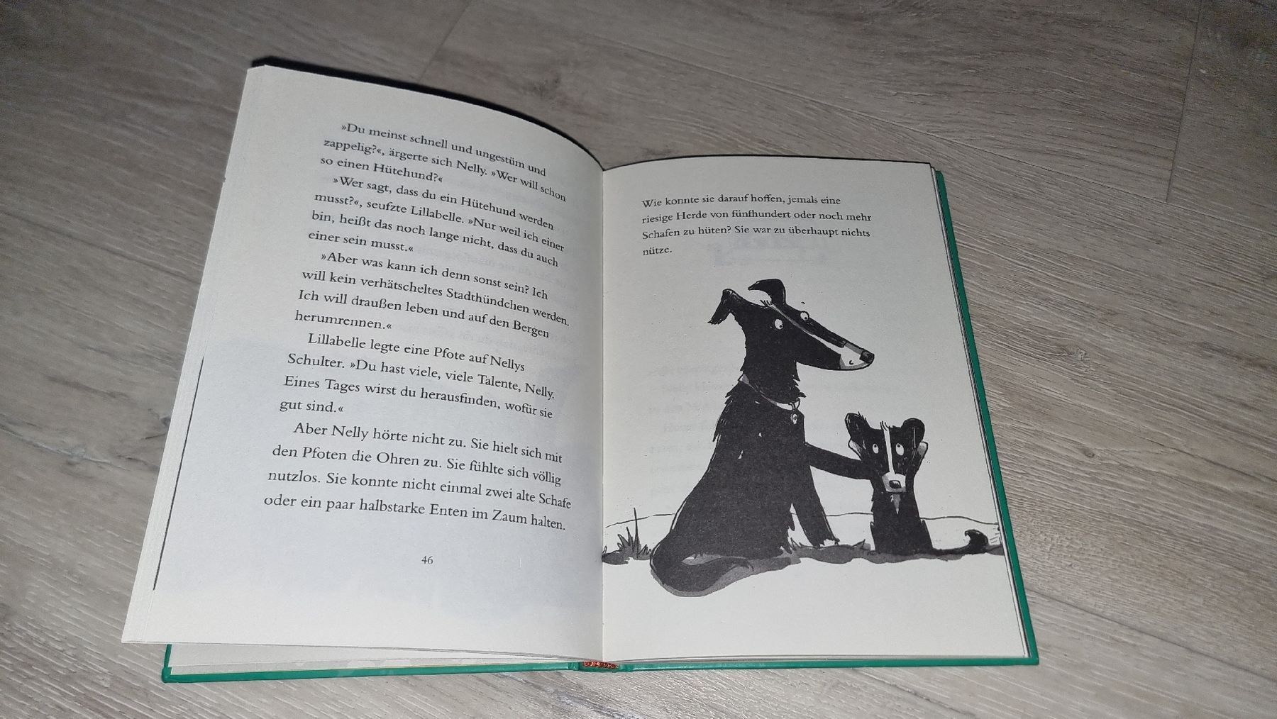 Bücher: Kinderbuch "Nelly im Sturm"  – Gebraucht aus Wigoltingen von Zuckerfee84 2