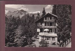 WENGEN - Pension Alpenblick