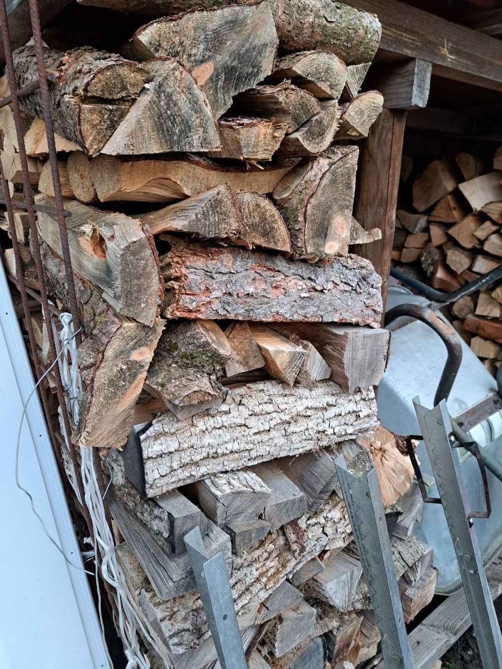Articoli in legno: gut gelagertes Brennholz schnaeppchen – Nuovo (secondo la descrizione) da Benzenschwil venduto da 007tinu 2