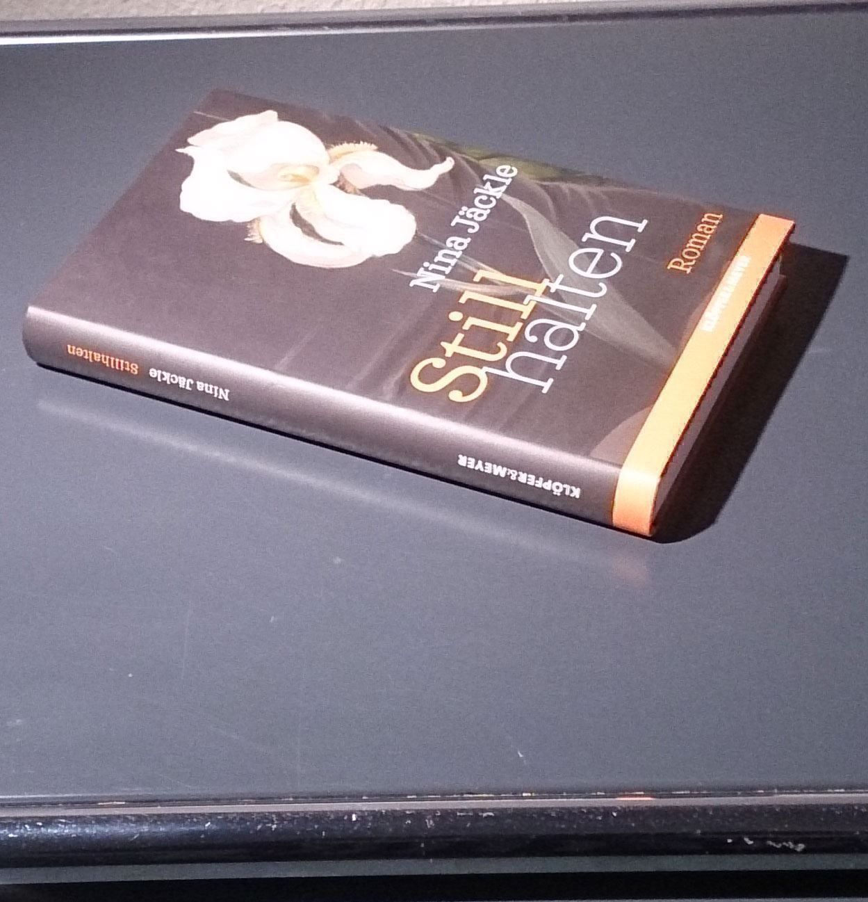 Bücher: Stillhalten von Nina Jäckle – Gebraucht aus Dübendorf von Povo 2