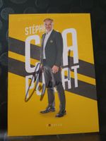 Stéphane Chapuisat - YB  - handsigniert