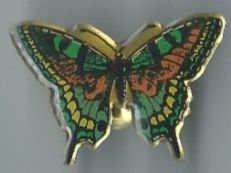 Schmetterling, Pin