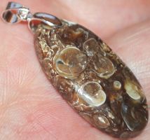 Anhänger L-1051 – Turritella Achat Fossil 34x17mm