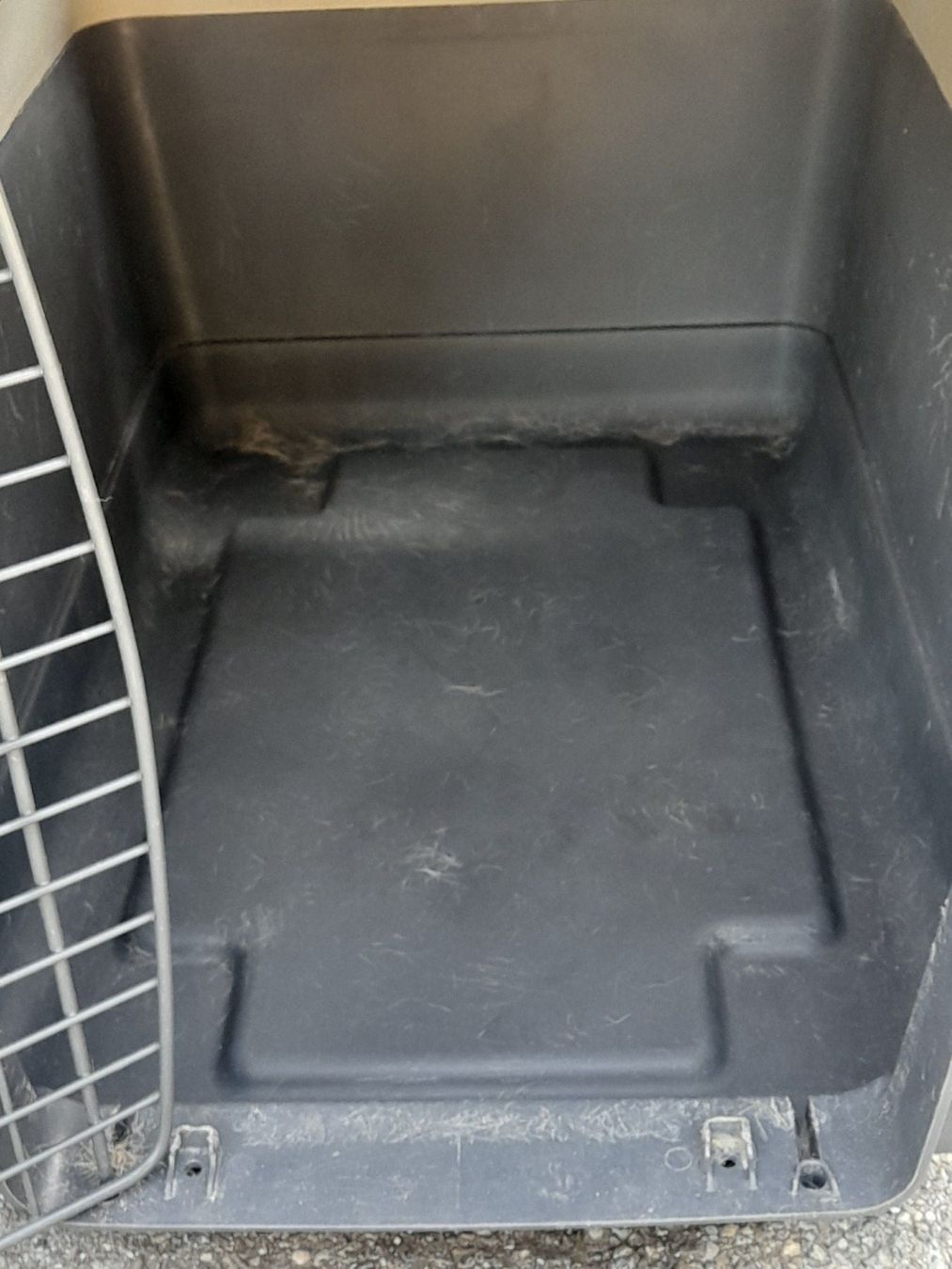 Gabbie, trasporto & Sicurezza: Hunde Transportbox 80 x 55  H = 60 – Usato da Aeschi b.Spiez venduto da 52_wochen 5