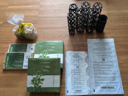 Moosstab Starter-Set für Zimmerpflanzen inkl. Sphagnum Moos