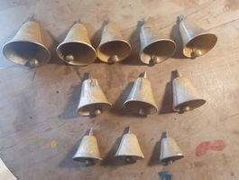 11 Stk katalanische Ziegenglocken Messing 3 Grössen