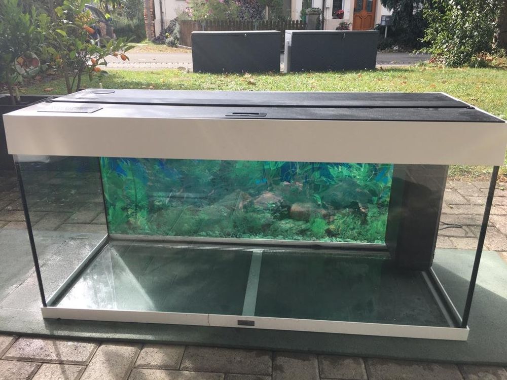 Aquarium 
