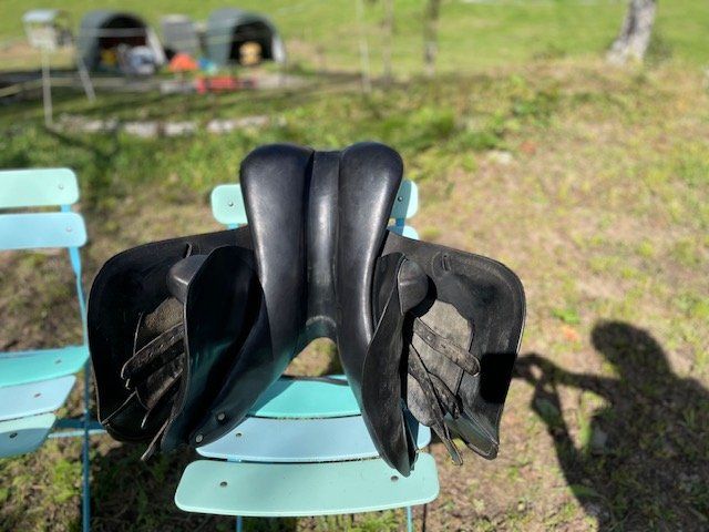 Selle & Accessori: Springsattel von Peter Menet – Usato da Trun venduto da Blanchette1 1