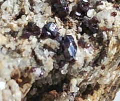 Mineralien : Rutil und Magnetit. Beide Stufen = Fotomodelle