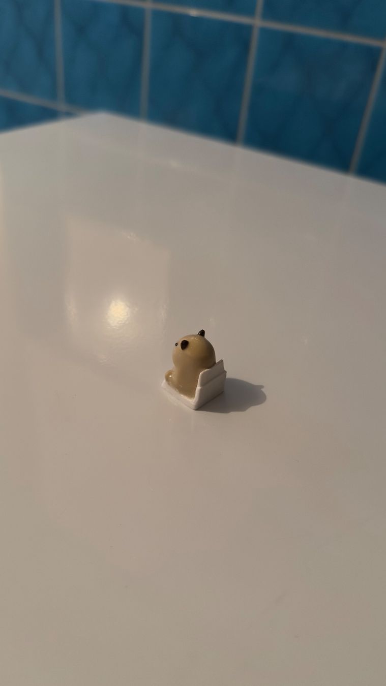 Tastiere: Capybara Keycap (Süss, lustig, einfach klasse) – Nuovo (secondo la descrizione) da Schindellegi venduto da SimplyBuy-CH 3