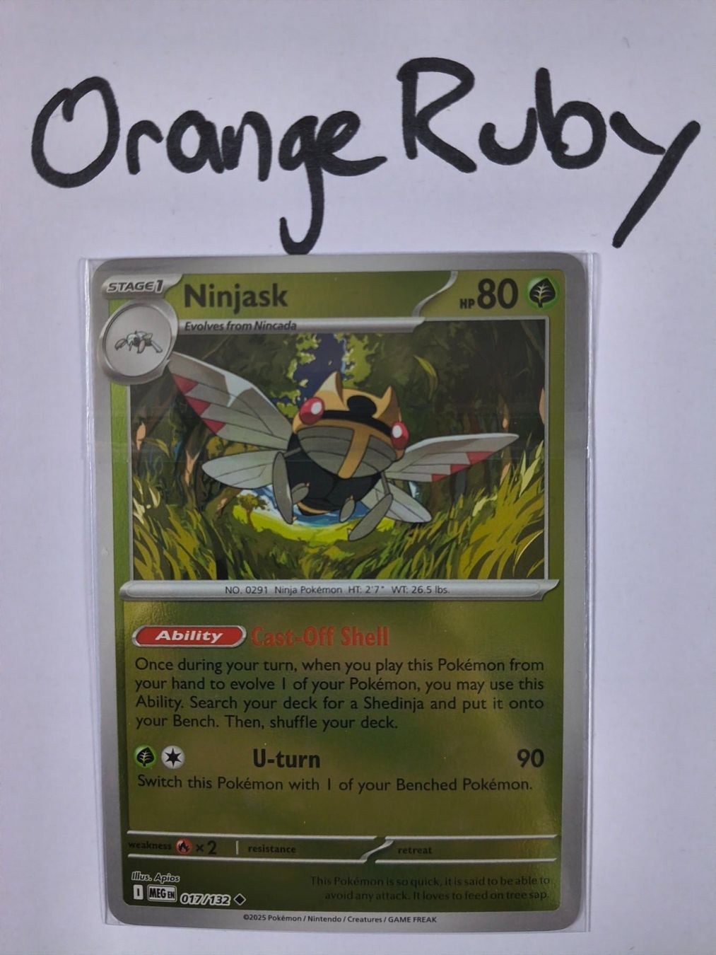 Pokémon Sammelbilder & Trading cards: Ninjask 017/132 REVERSE HOLO Mega Evolution MEG English – Gebraucht aus St. Gallen von OrangeRuby