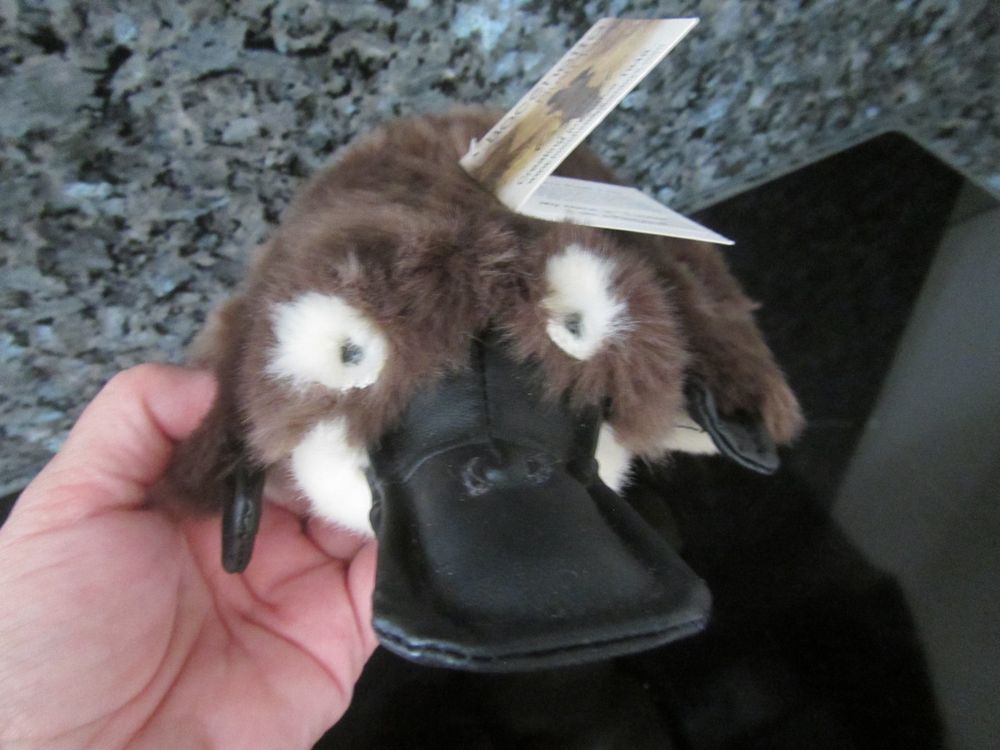 Platypus Kosmetiktasche – Süße Schnabeltier-Motivtasche Mit Reißverschluss Für Make-up & Reise