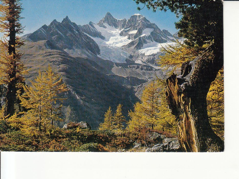 Cartoline postali: Zermatt Tufternweg 1968 – Usato da Bürglen TG venduto da StampGraf