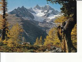 Zermatt Tufternweg 1968