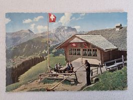 Postkarte Berggasthaus BUNDERALP 1760m Ansicht Adelboden