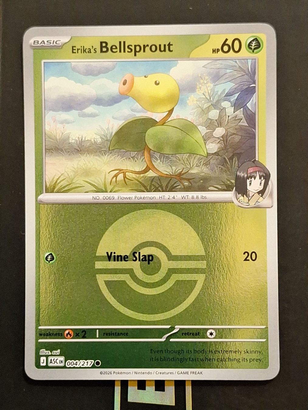 Pokémon Carte collezionabili: Bellsprout - Pokemon Reverse Holo Ball - Ascended Heroes – Usato da Altstätten SG venduto da GGsGameshop