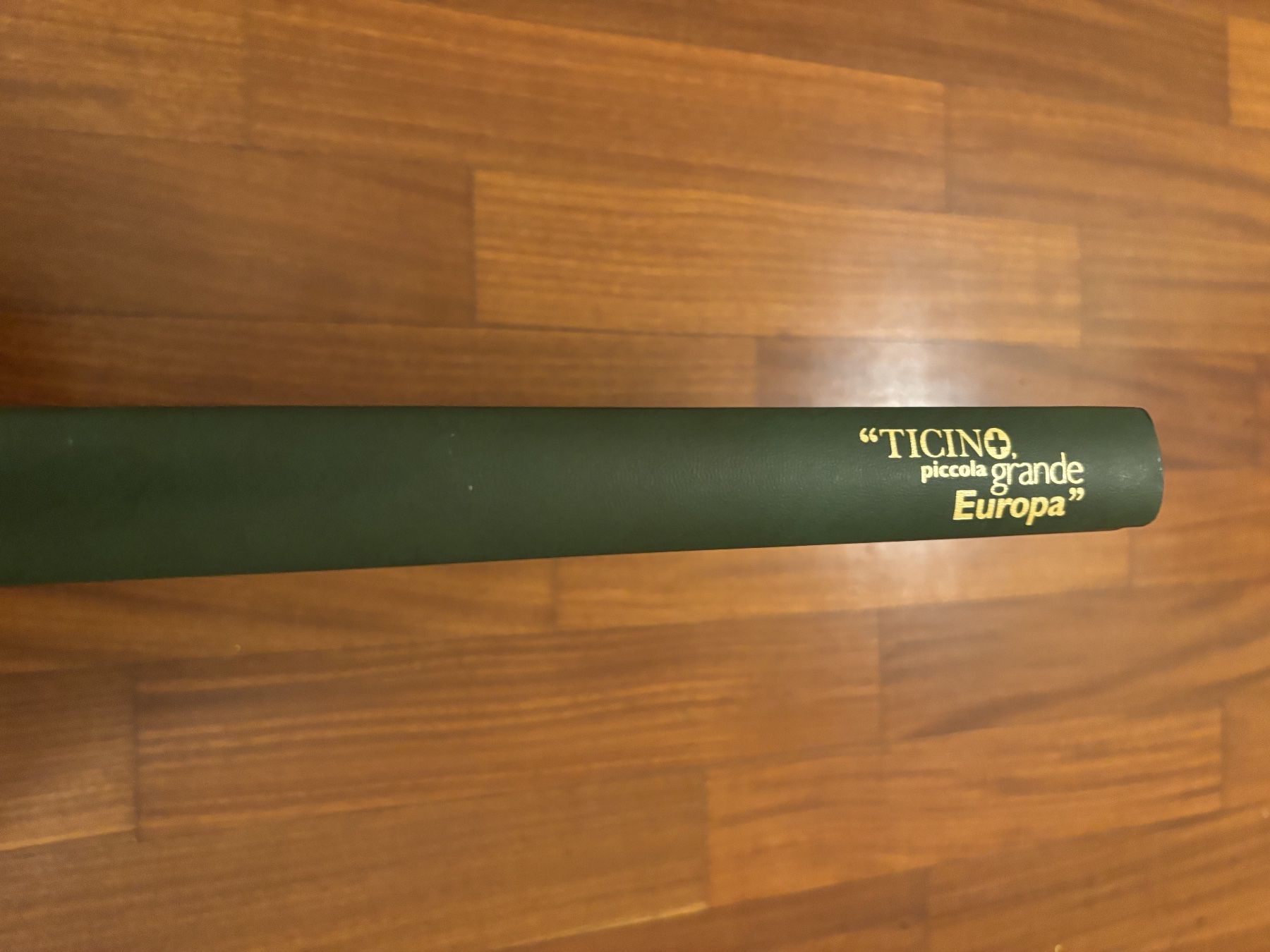 Libri: Ticino Piccola Grande Europa – Usato da Lugano venduto da Mark_Young 1
