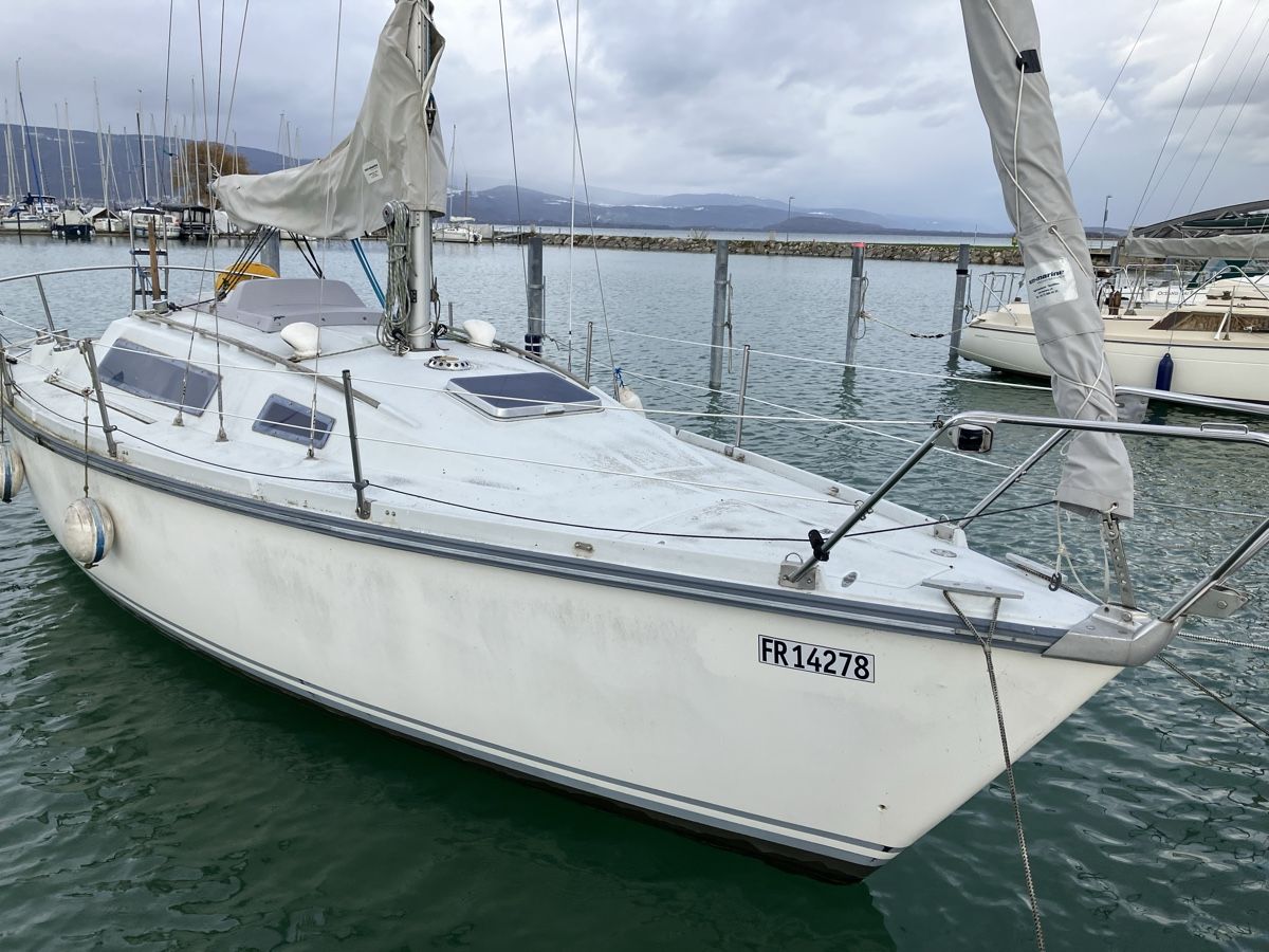 Aloa Bateaux: Aloa Marine 26 – D'occasion à Niederscherli par Manuz 7