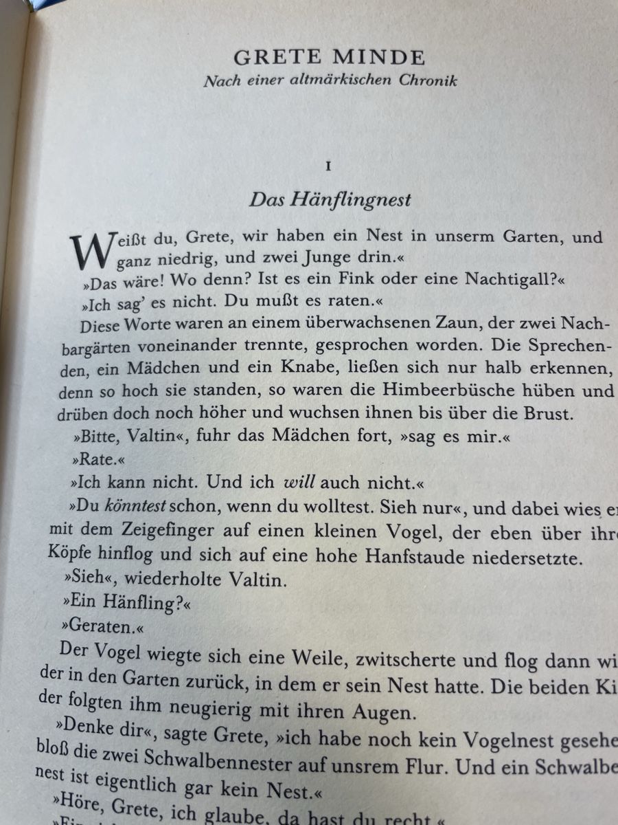 Bücher: C.F. Meyer, Storm, Fontane Novellen Sammlung 3 Bände – Gebraucht aus Emmenbrücke von Ladyboutique 7