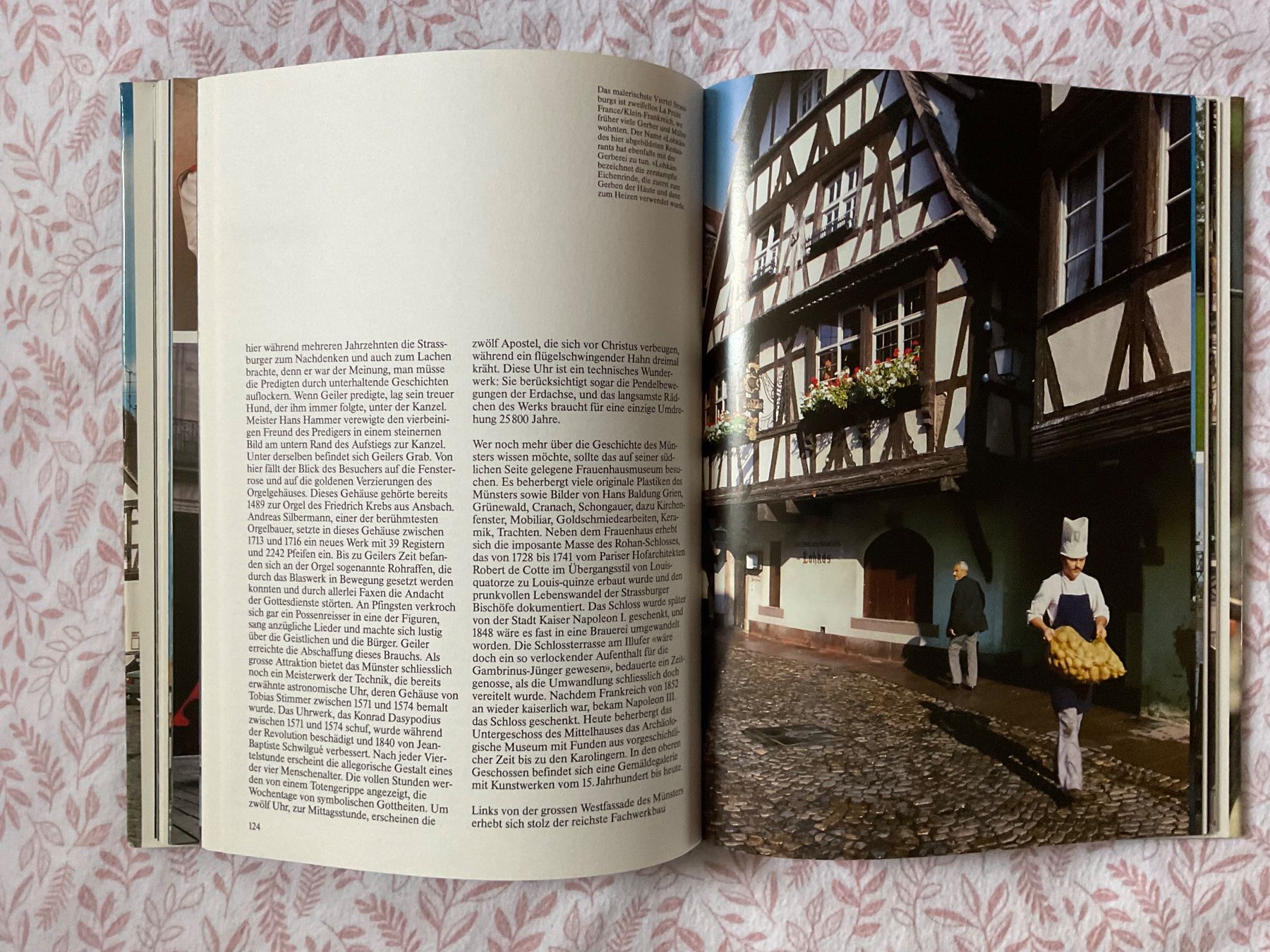 Bücher: , Silva Buch; Elsass – Gebraucht aus Zürich von tol_b7c7 5