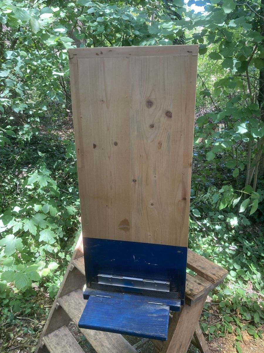 Alveari: Bienenkästen 4 stck  – Usato da Lindau venduto da fam_pp2t 3