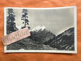 1924 Griesalp Dünden, Blick auf den Niesen u. Fromberghorn