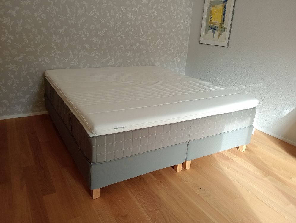 Boxspring Bett Ikea Espevär (Neu (gemäss Beschreibung)) in Dübendorf ...