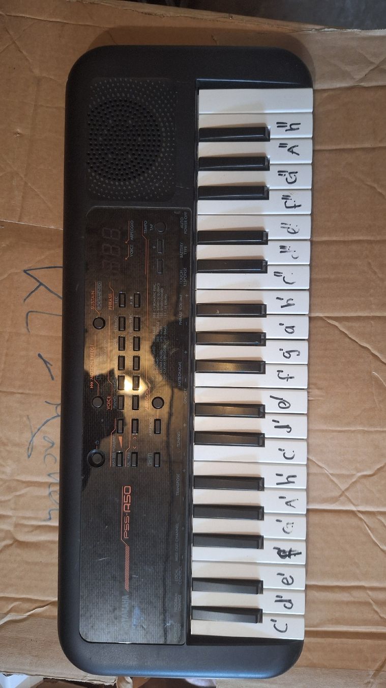 Yamaha Strumenti musicali: Yamaha Digital Keyboard PSS-A50 gebraucht – Usato da Bern venduto da NovumDESIGN 1