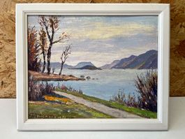 Bielersee mit Petersinsel von F.J. ERISMANN 1982   (ID S346)