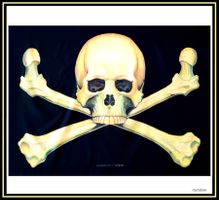 Fahne *Skull N' Bones* - Nr. J-6379