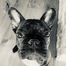 Profile image of Baedi0