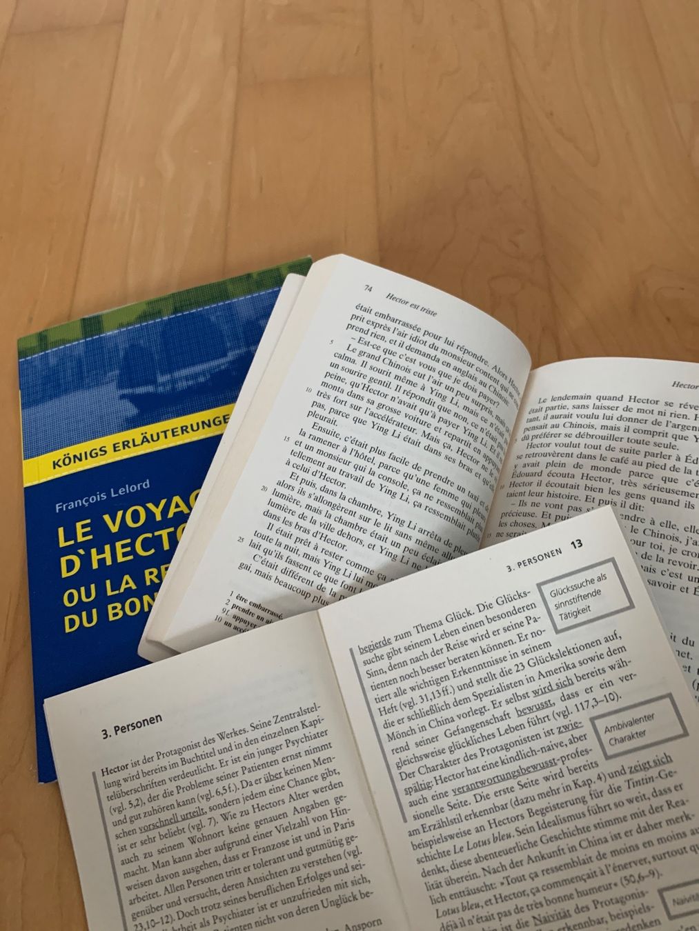 Bücher: Buch Le voyage d Hector reclam – Gebraucht aus Oberweningen von Jogi2 1