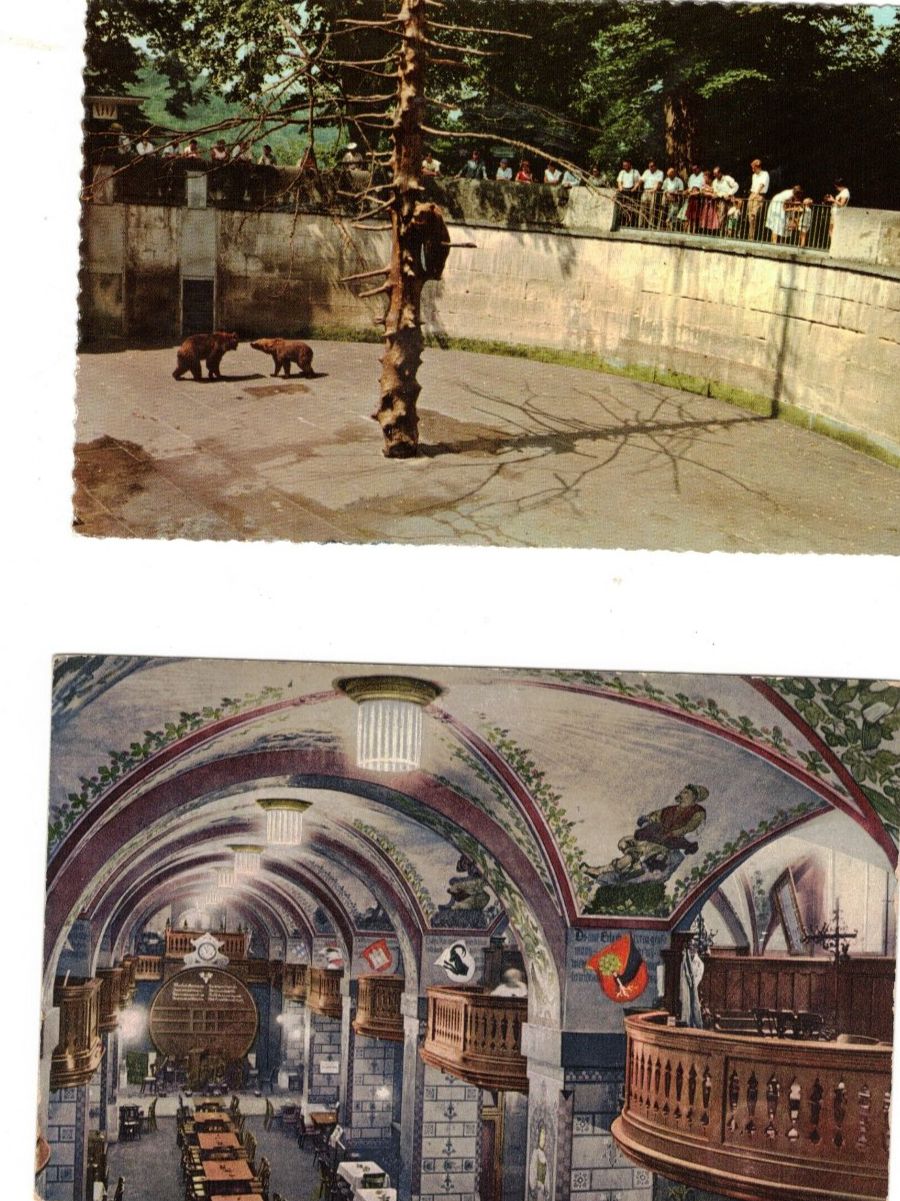 Cartoline postali: Bern Bären Bärengraben Kornhauskeller – Usato da Widnau venduto da Seppl480