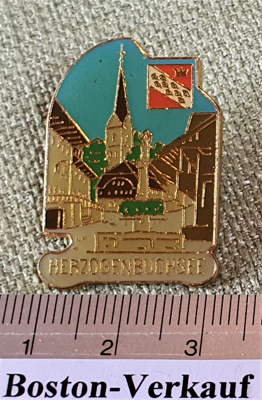 Placchette & Badge: D841 - Pin Dorfbrunnen Herzogenbuchsee – Usato da Reinach BL venduto da Boston-Verkauf 1