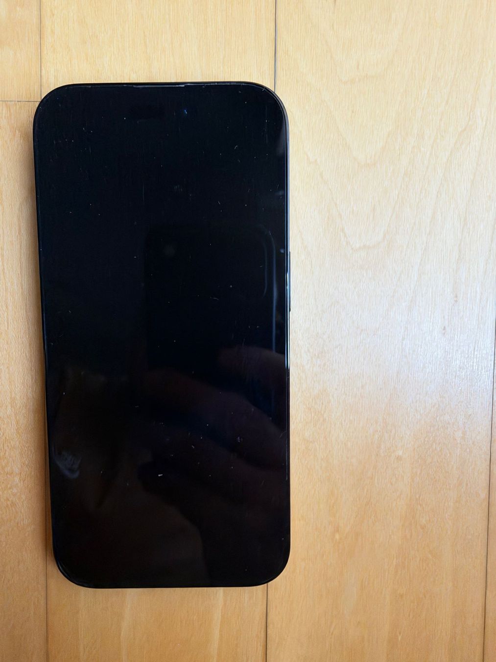 Apple Telefoni cellulari / Smartphones: IPhone 14 Pro, 256 MB, Space Schwarz – Usato da Embrach venduto da Brunobe 1