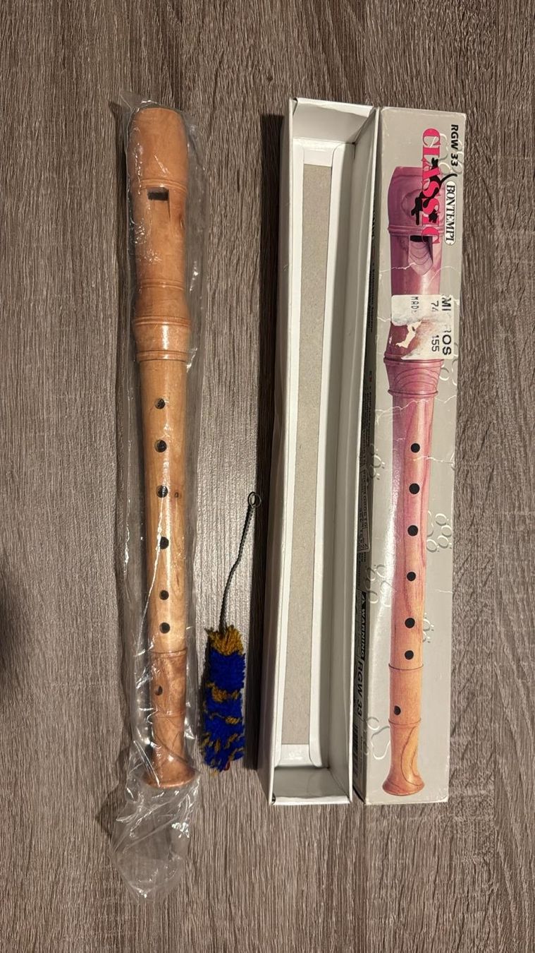 Bontempi Instruments de musique: Klassische Blockflöte Bontempi RGW 33 – Neuf (Voir description) à Safenwil par Lenzburg-Gretzenbach