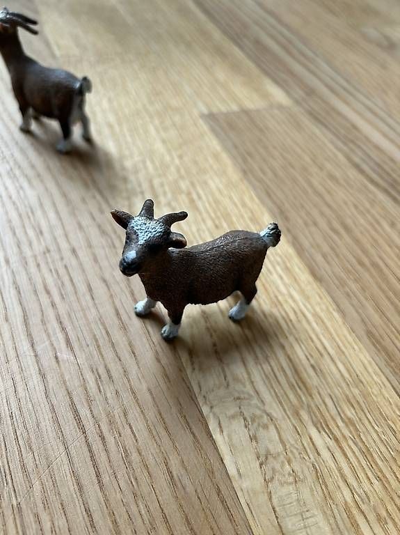 Schleich Giocattoli: Schleich-Set Ziegen – Usato da Rüfenacht BE venduto da Claudia_sch 2