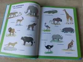 Dictionnaire français pour débutants