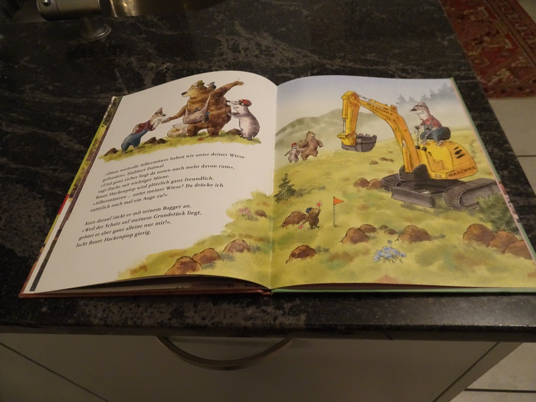 Libri: Bilderbuch  Dr. Brumm und der Megasaurus – Usato da Zürich venduto da Roulet 7