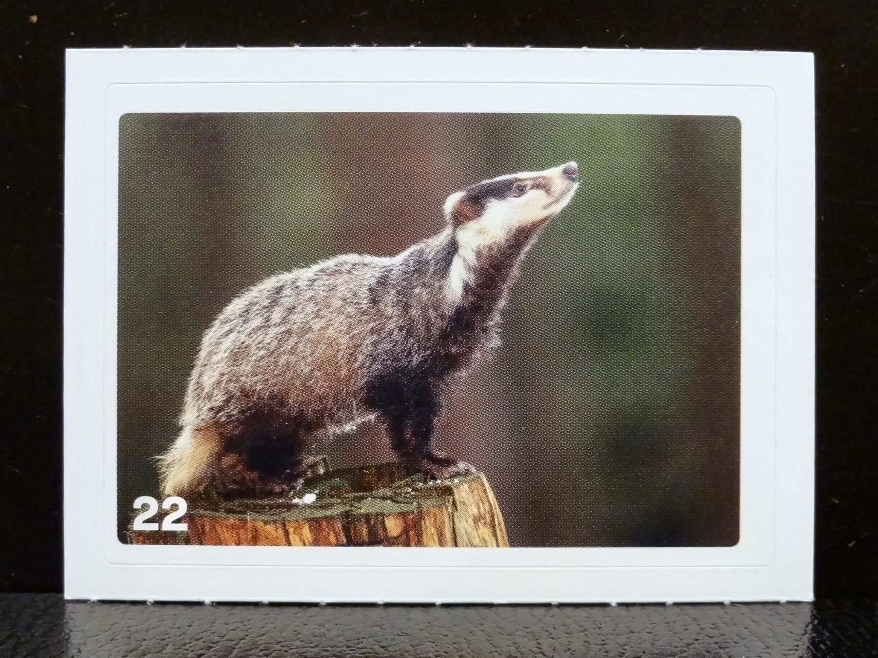 Migros Carte collezionabili: MIGROS MANIA Nature Detectives Nr. 22 – Nuovo e nell'imballaggio originale da Kerzers venduto da zimmergruen