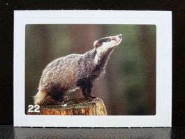 MIGROS MANIA Nature Detectives Nr. 22