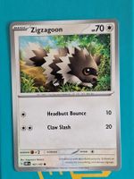 Zigzagoon - Pokemon Obsidian Flames