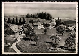 AK Walzenhausen /App., Moos, Blick auf den Bodensee