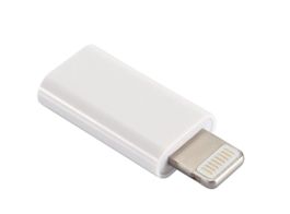 USB C auf Lightning Mini-Adapter