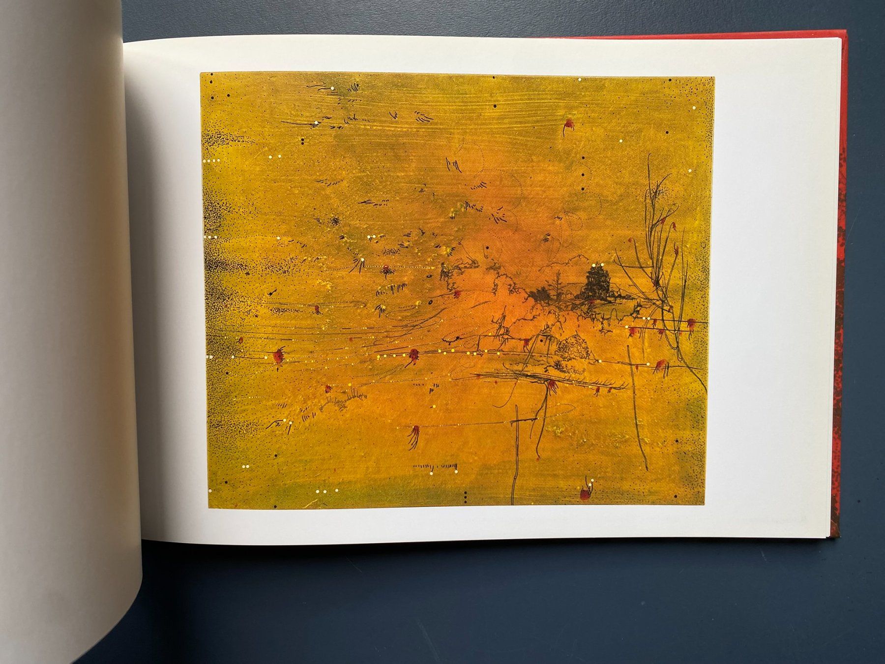 Libri: Graeme Todd - Space is deep - Kunstbuch – Usato da Zürich venduto da jesulin05 6