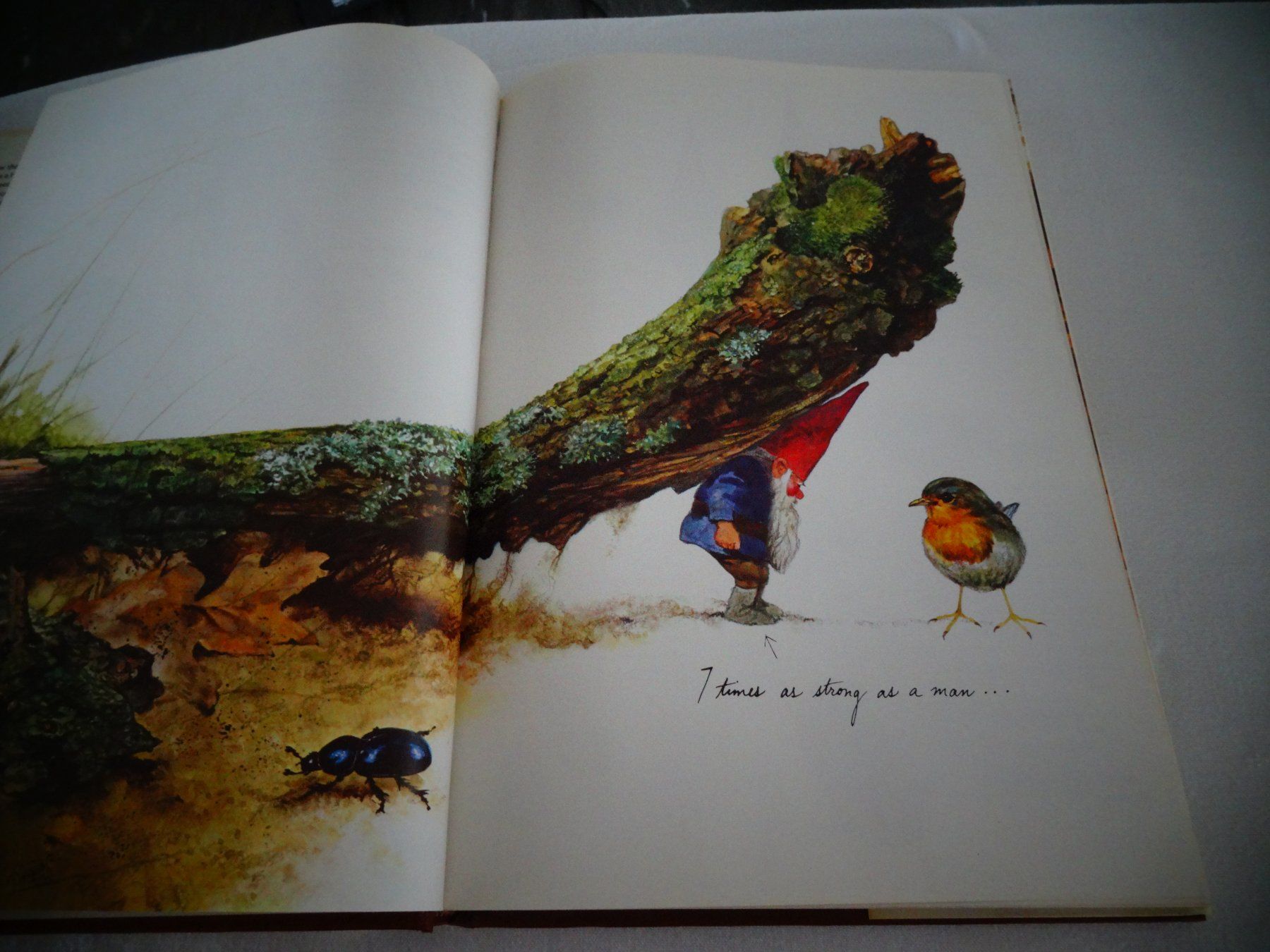 Bücher: Gnomes – Gebraucht aus Neerach von jenny062 4