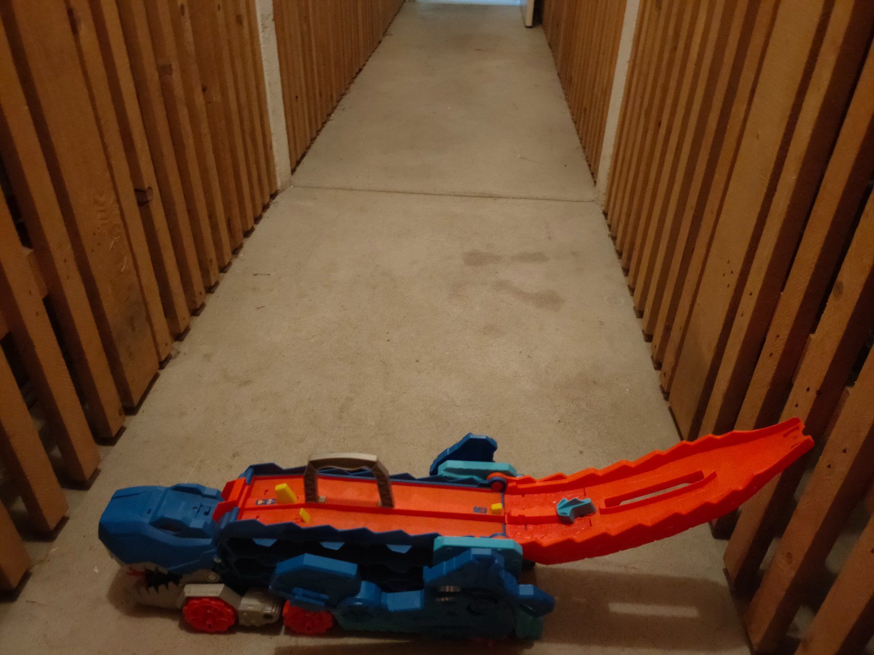 Hot Wheels Spielzeuge: Hot Wheels Dino – Gebraucht aus Jona von Sydney304 1