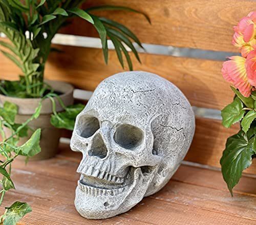 Skulpturen & Statuen: Gartenskulptur Gartenfigur Schädel crâne sculpture – Neu und originalverpackt aus Lopagno von CLep 2